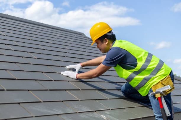 Best Roof Gutter Cleaning  in Mulberry, OH